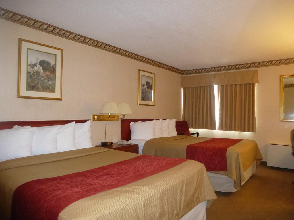 Comfort Inn Meadowvale Mississauga Room photo